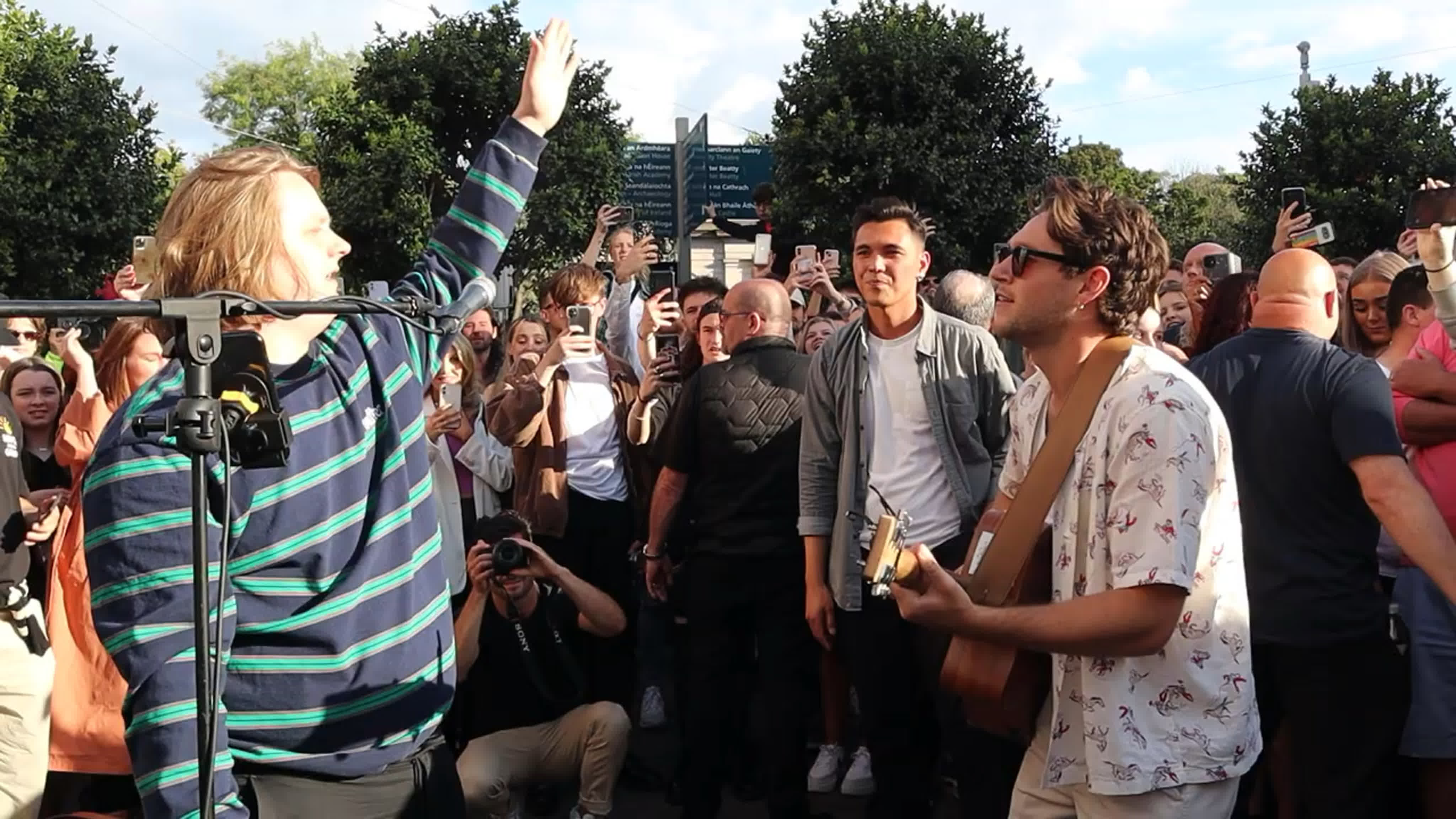 Найл: Сольные выступления