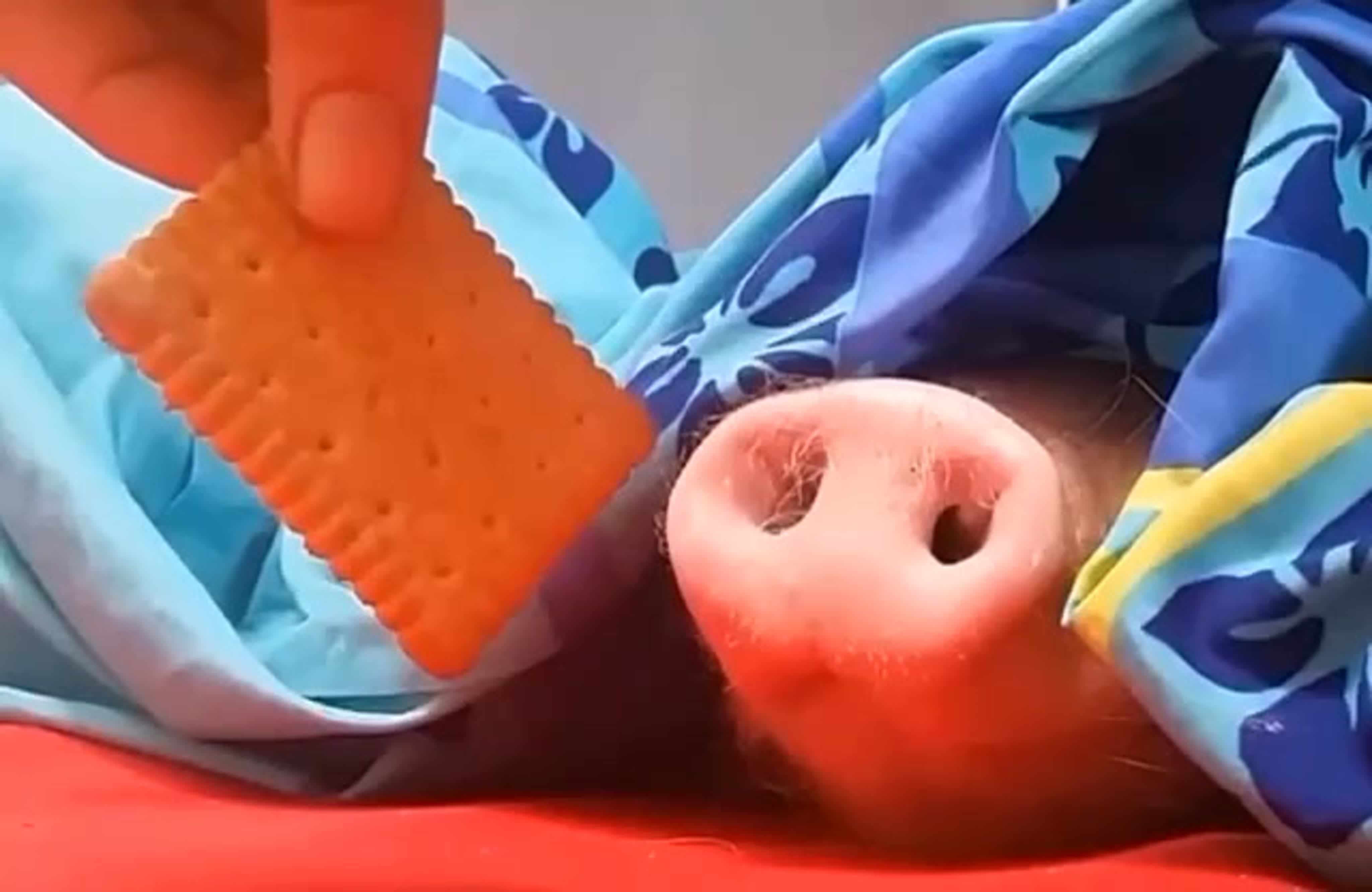 На случай важных переговоров