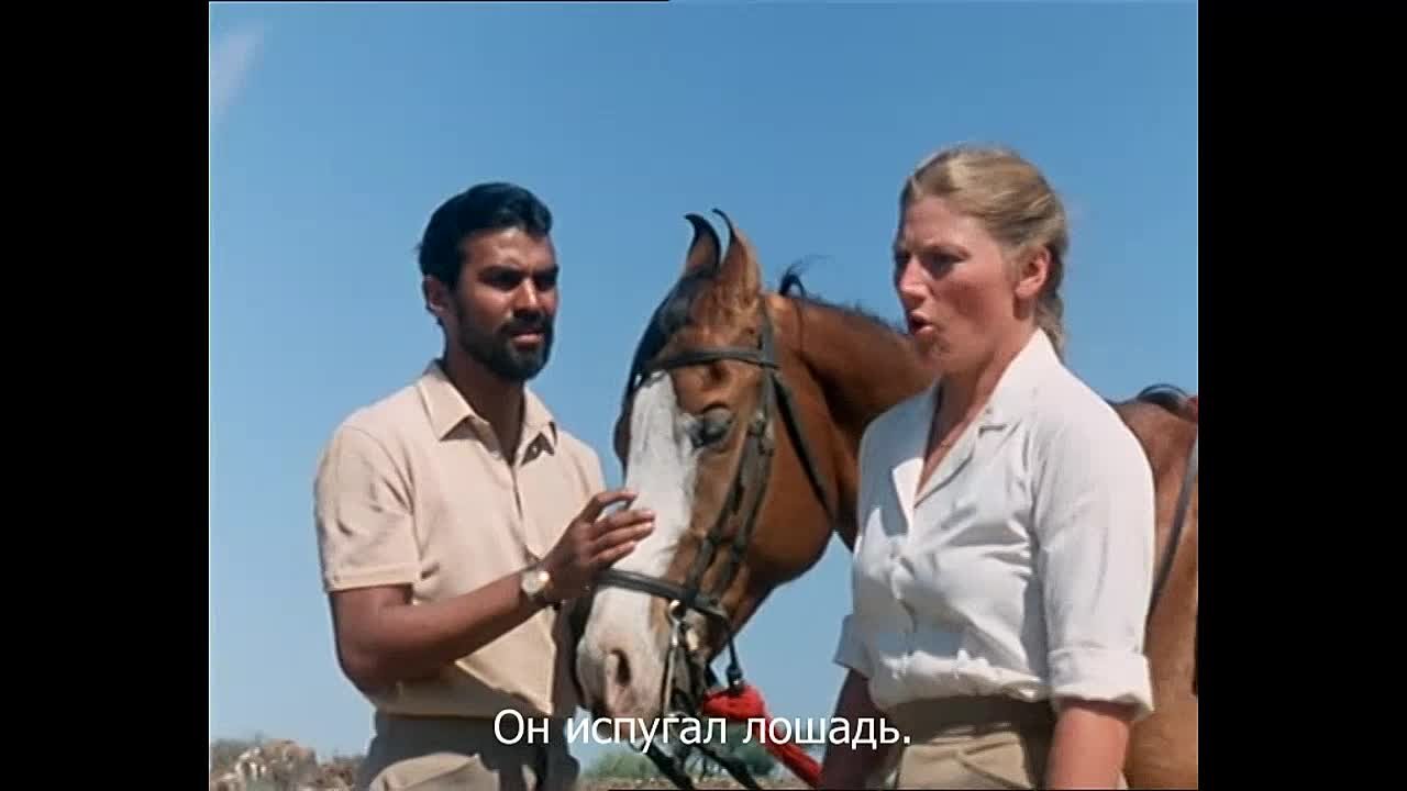 Драгоценность в короне