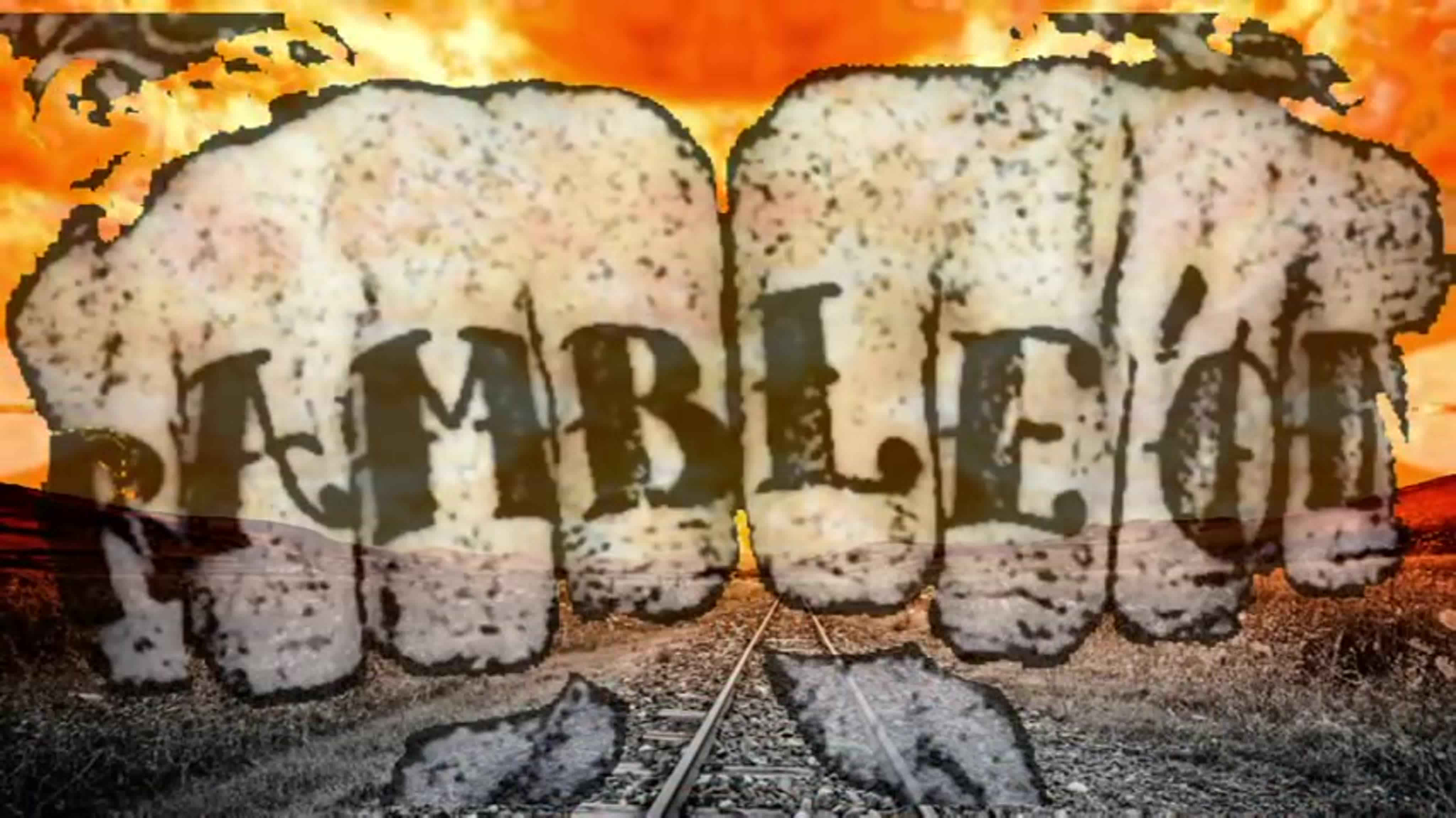 Участники Big Gun 2019