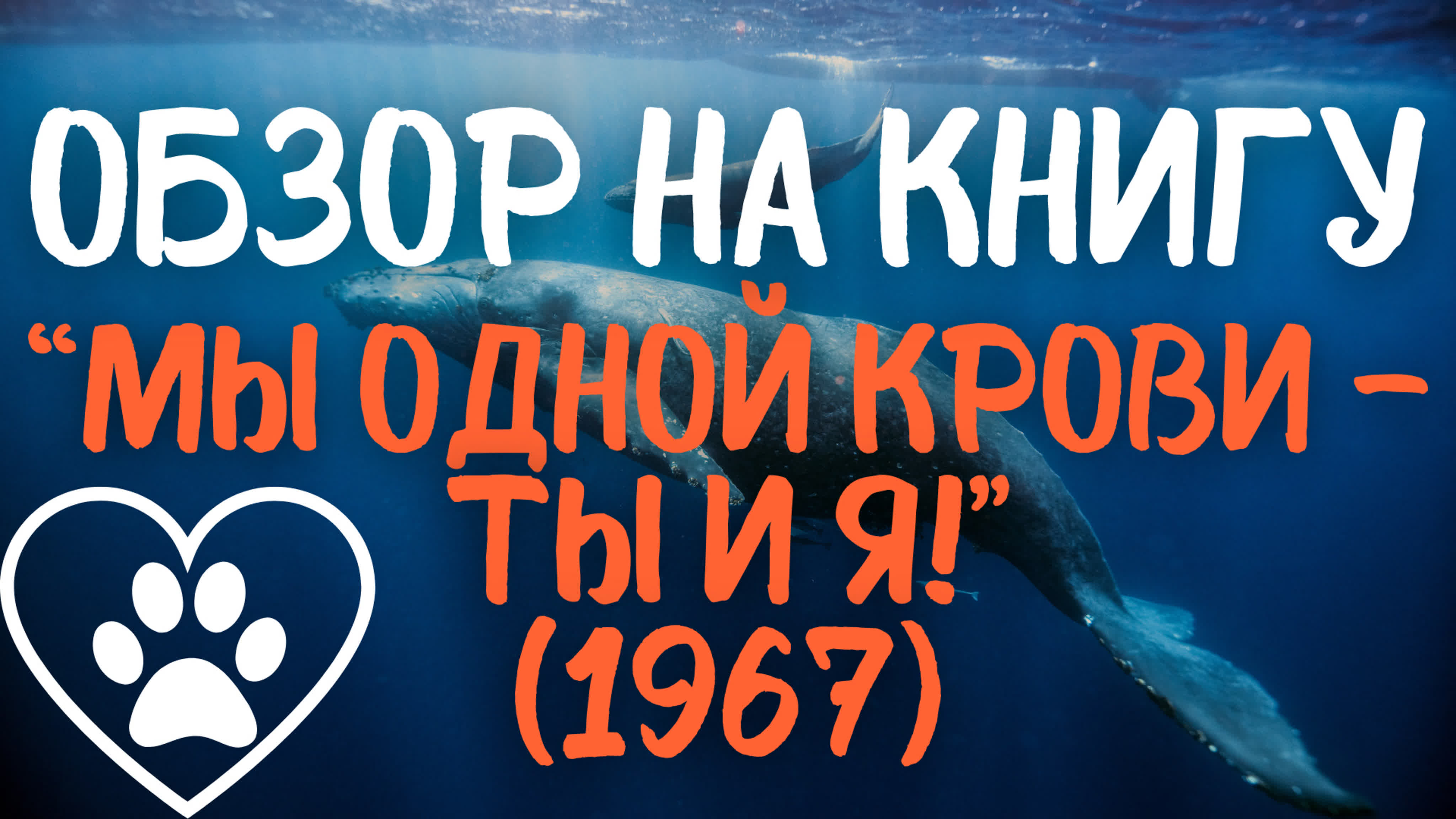 Книжная фантастика