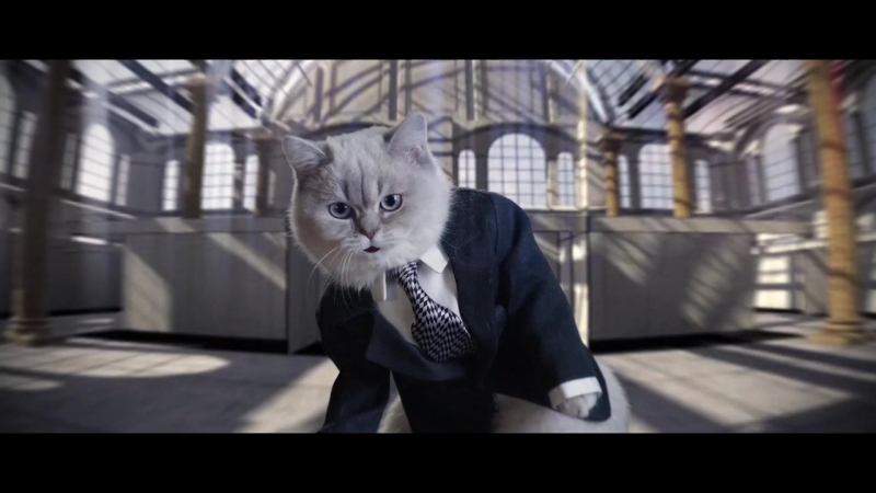 Криптокотто