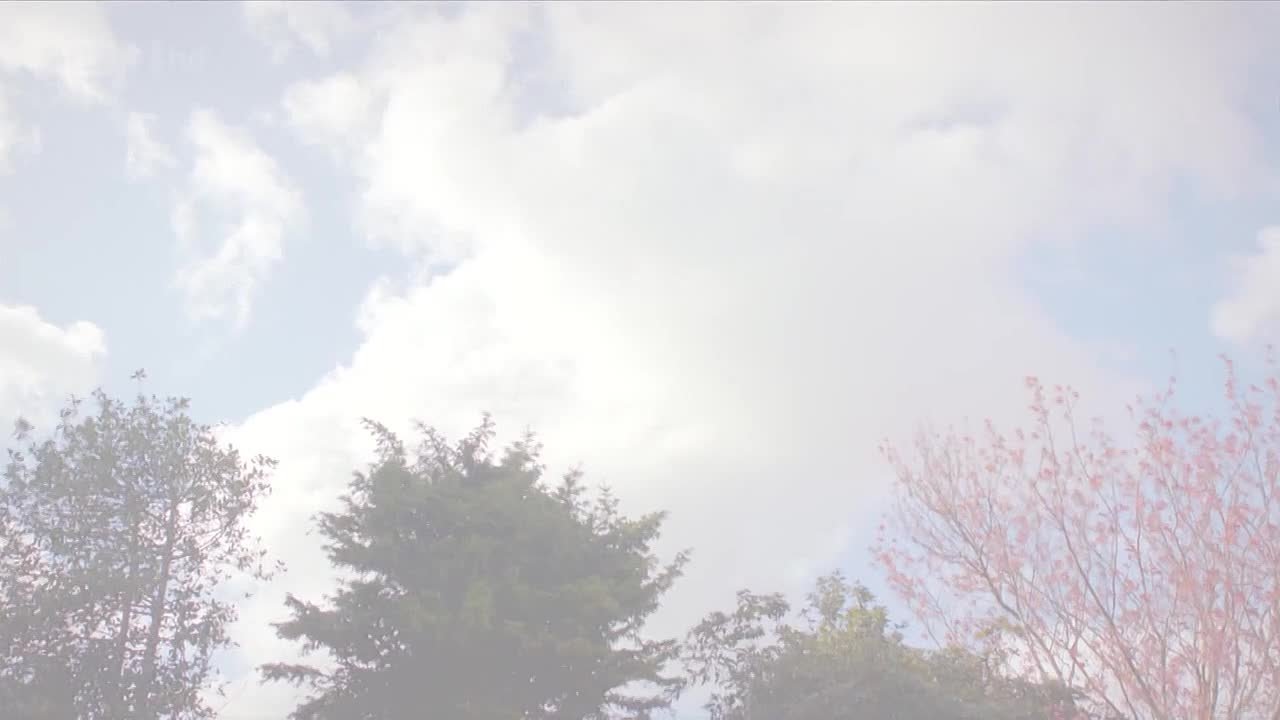 13 Steps Down (2012) ▌Luke