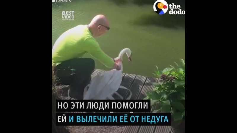 ● НОВОСТИ (По всему свету)