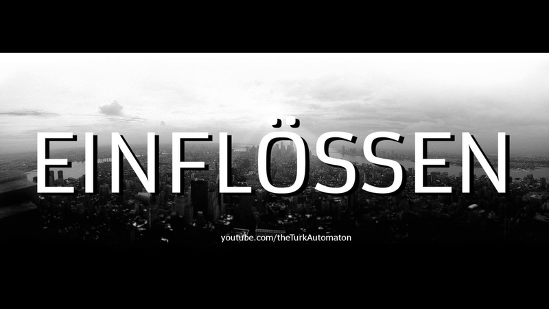 Тетрадь с попугаями