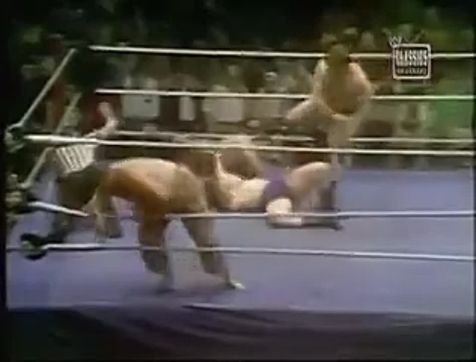 WWWF/WWF Championship Wrestling