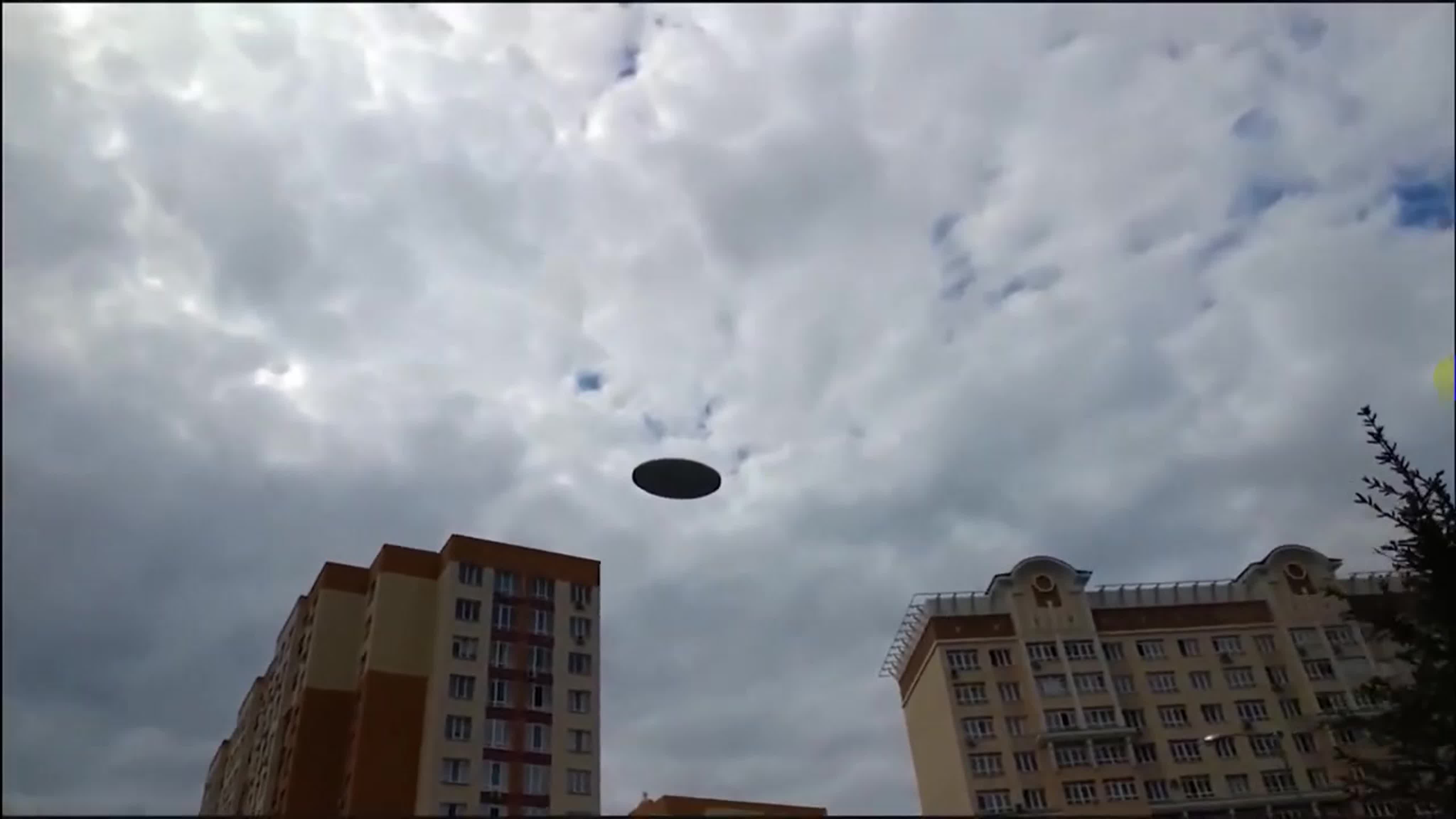 다양한 동영상 (kr)