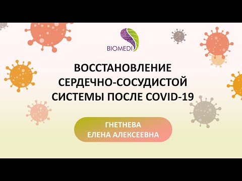 «Биорезонанс для сердечно-сосудистой системы»