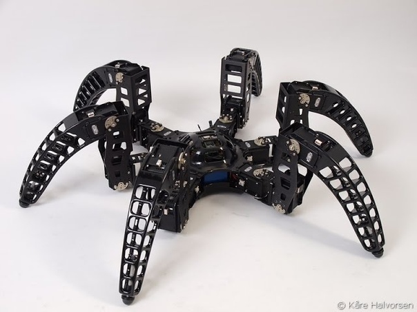 Hexapod | Drones