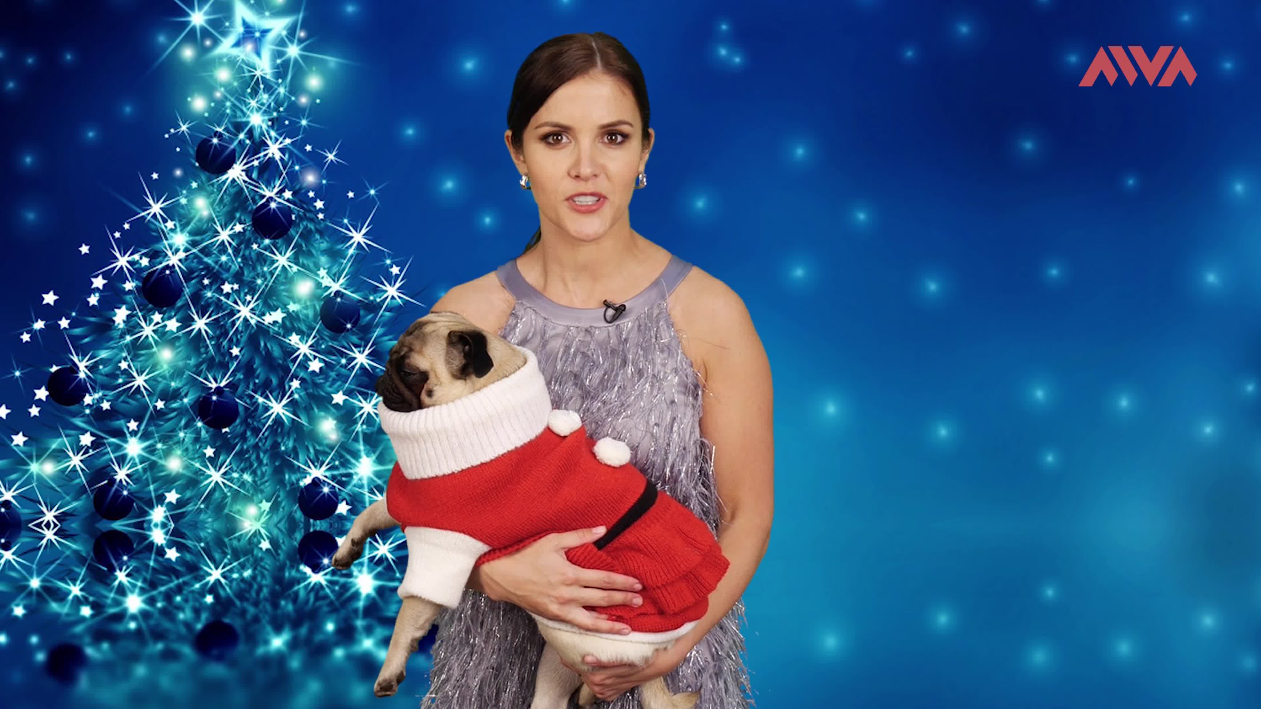 ПОЗДРАВЛЕНИЯ