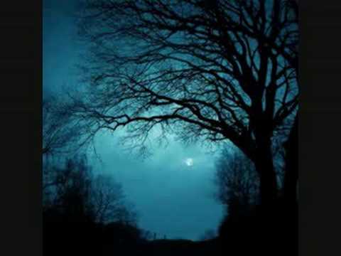 Камарон де ла Исла(фламенко)