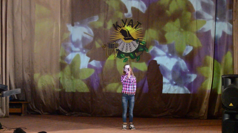 "Молодежный фестиваль "Звезды 2017"