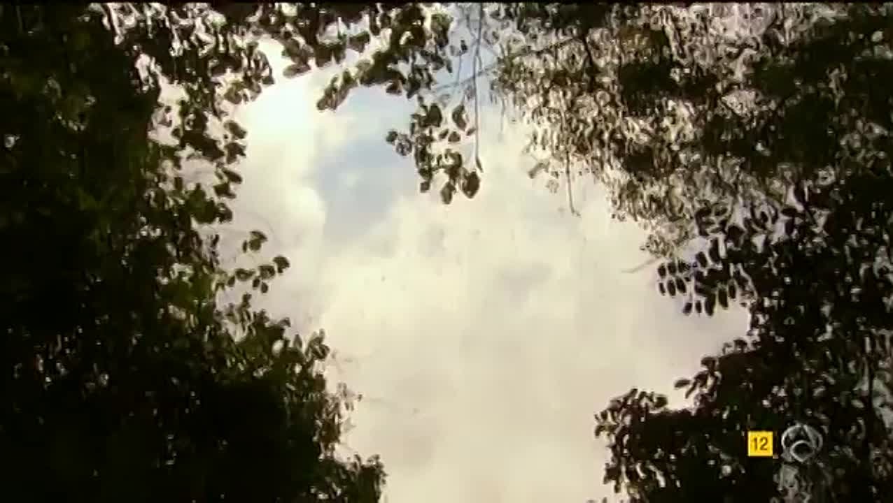 El corazón del oceano-исп. Сердце океана