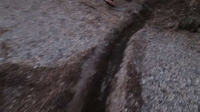 25 AUGUST (COMPACT CAMERA)