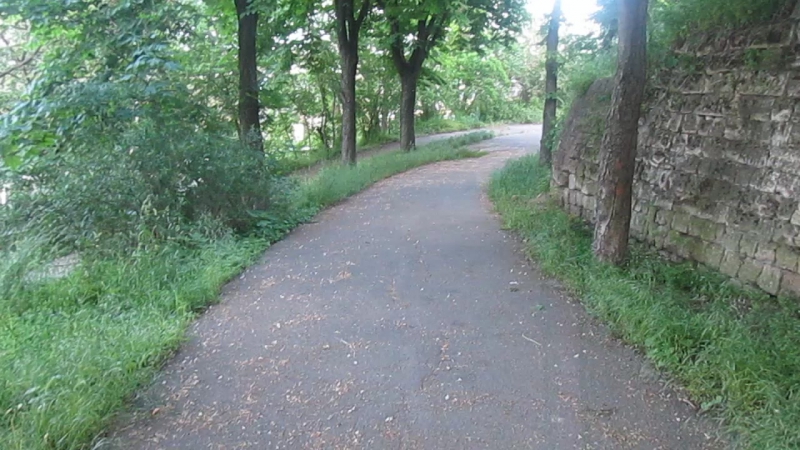 17 MAY (COMPACT CAMERA)