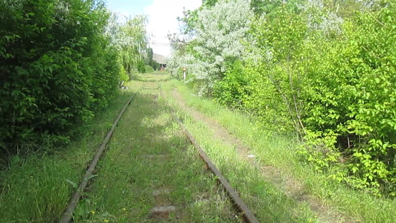 14 MAY (COMPACT CAMERA)