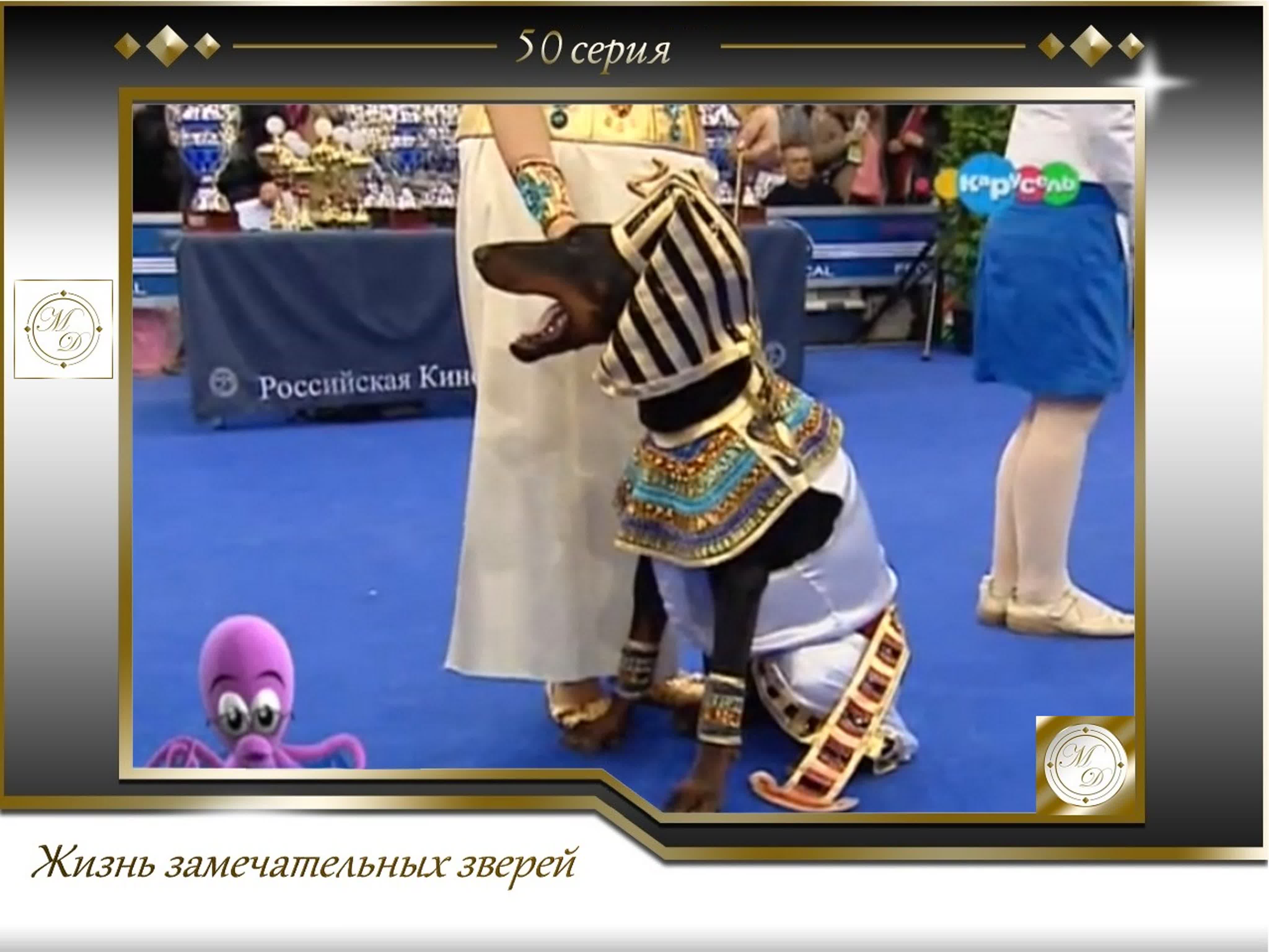 Жизнь замечательных зверей