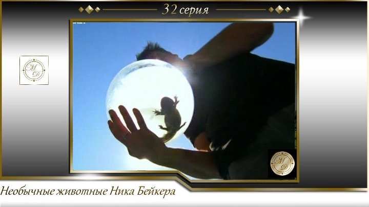 Необычные животные Ника Бейкера