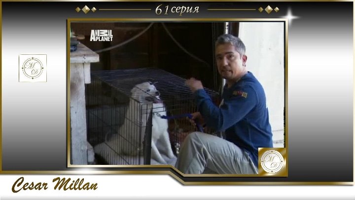 Cesar Millan Dog Whisperer (MPH Entertainment, Inc. 2004 - 2012 )