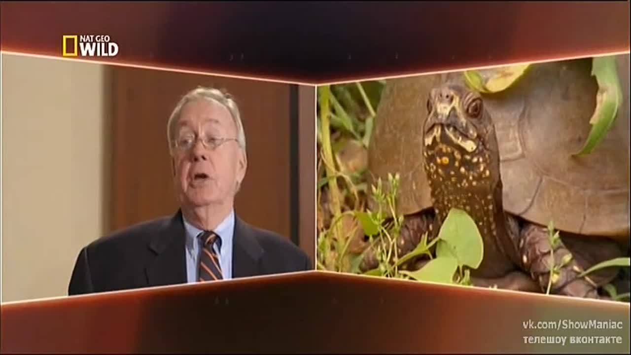 М и Ж или война полов