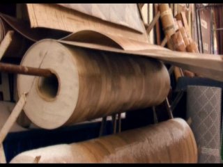 Среда обитания