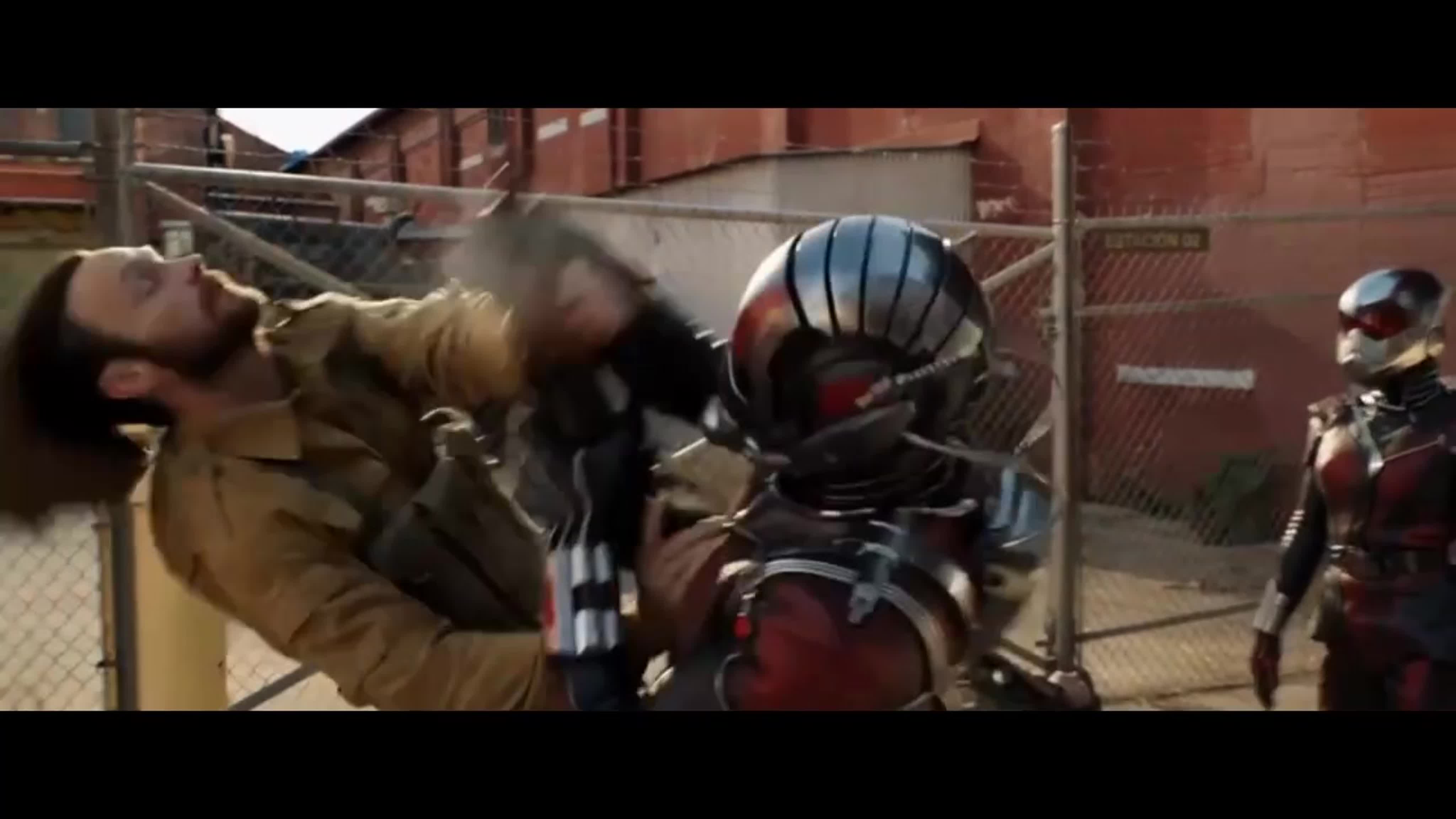 Человек-муравей и Оса