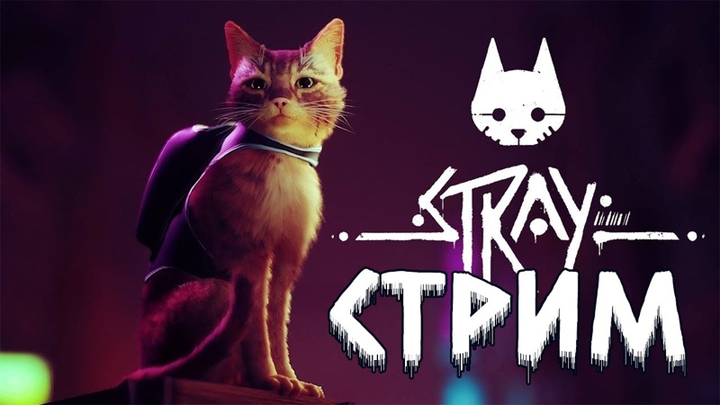 Stray [PC] [RUS] [Стрим]