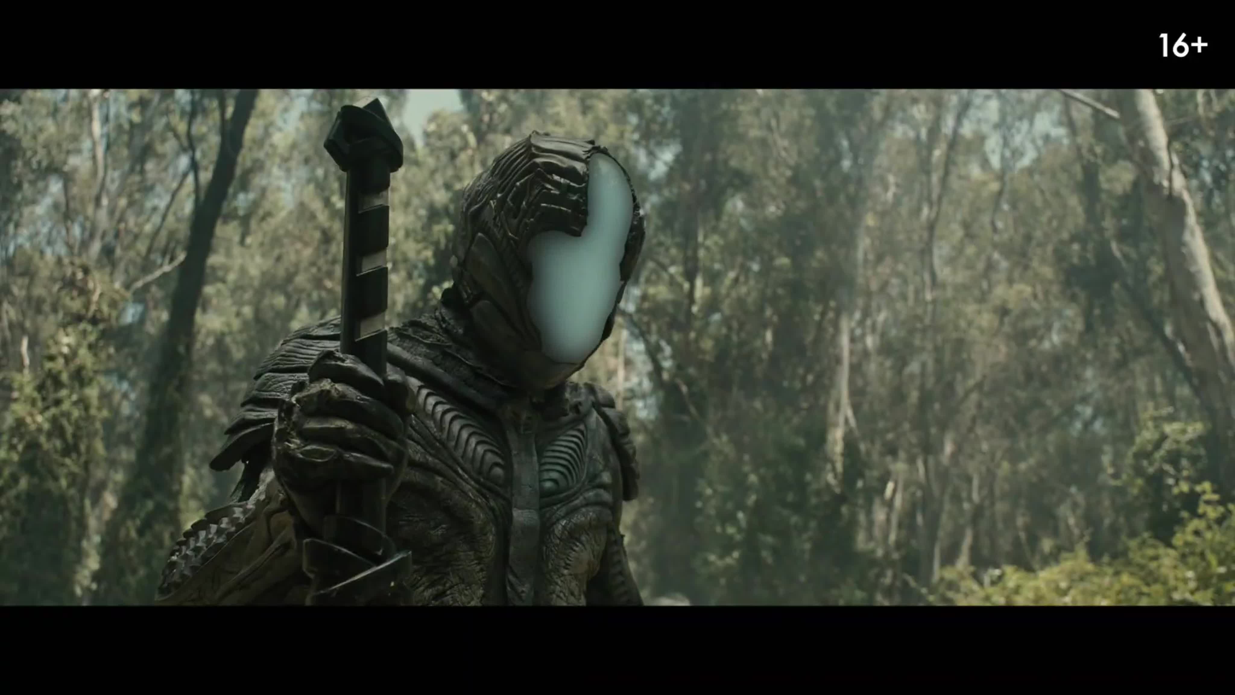 Новинки ноябрь 2020