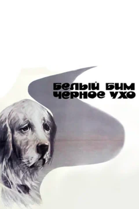 Белый Бим Черное Ухо