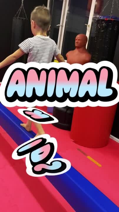 ANiMAL KiDS