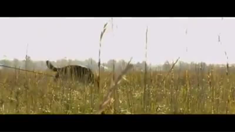 Интересное (промо)