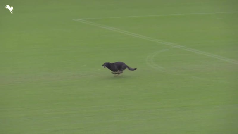 Соревнования