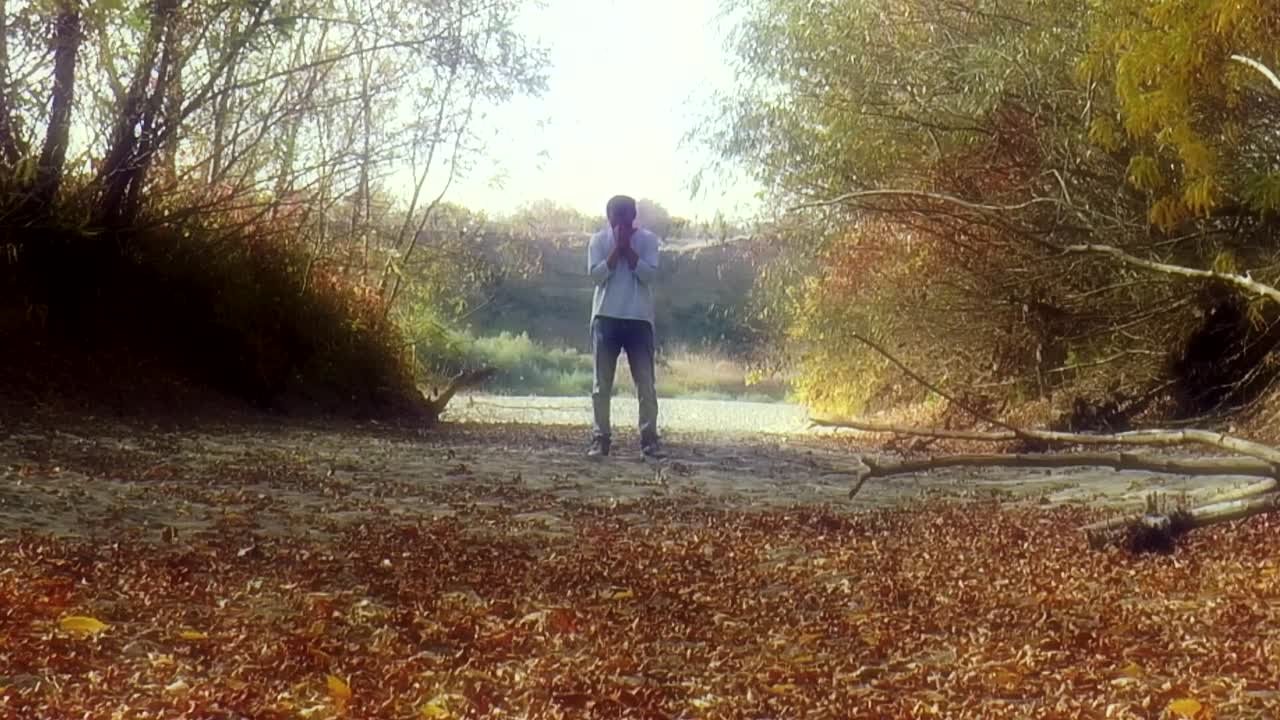 Инструментатьная музыка