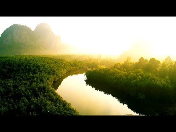 🎬 Мир наизнанку