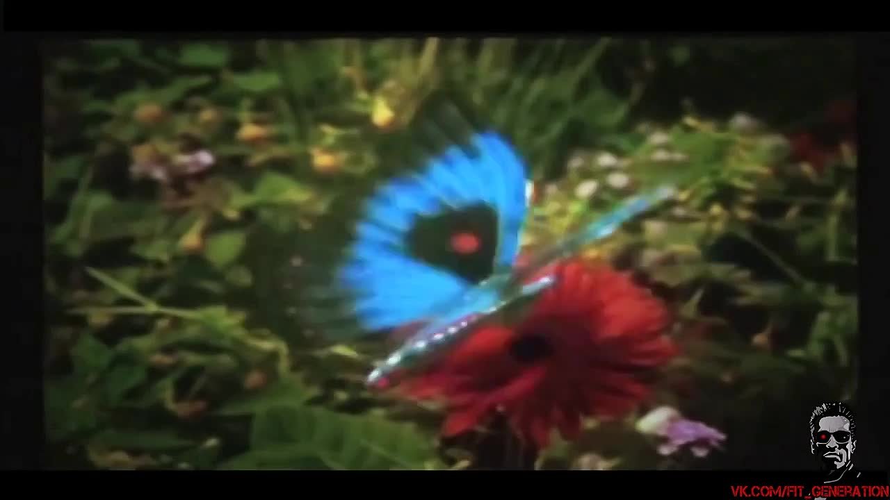 А.Ш.- фильмы