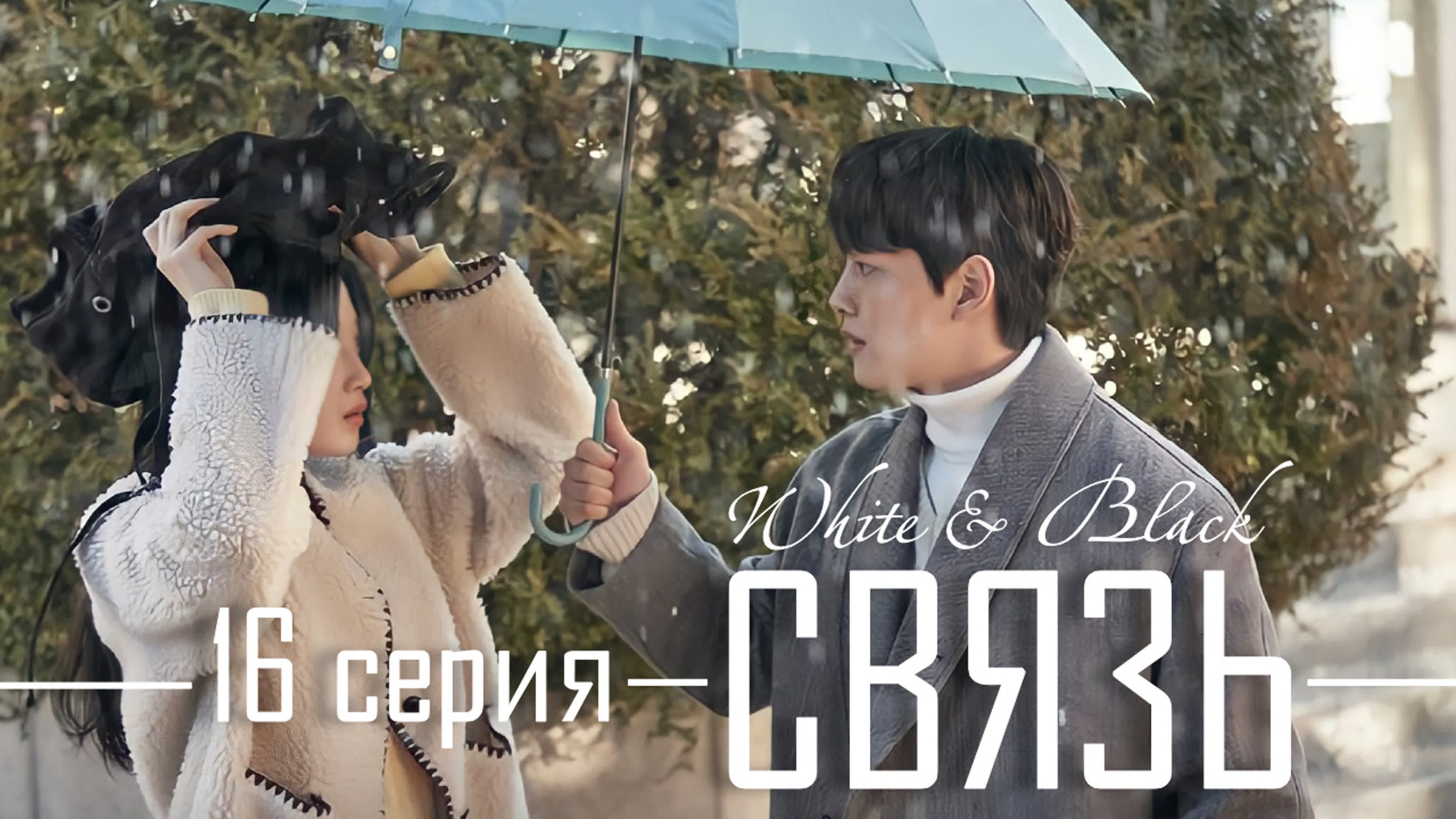 Связь | Link: Eat, Love, Die | 링크
