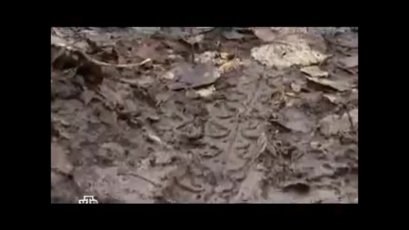 Преступление будет раскрыто