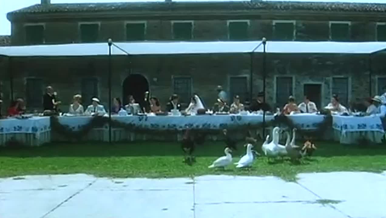 Тинто Брасс