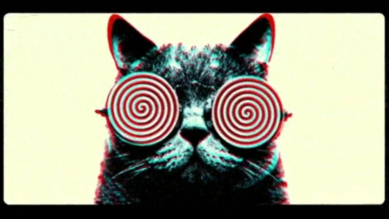 Гипноновости