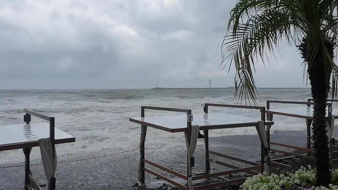 Капли жизни в объективе