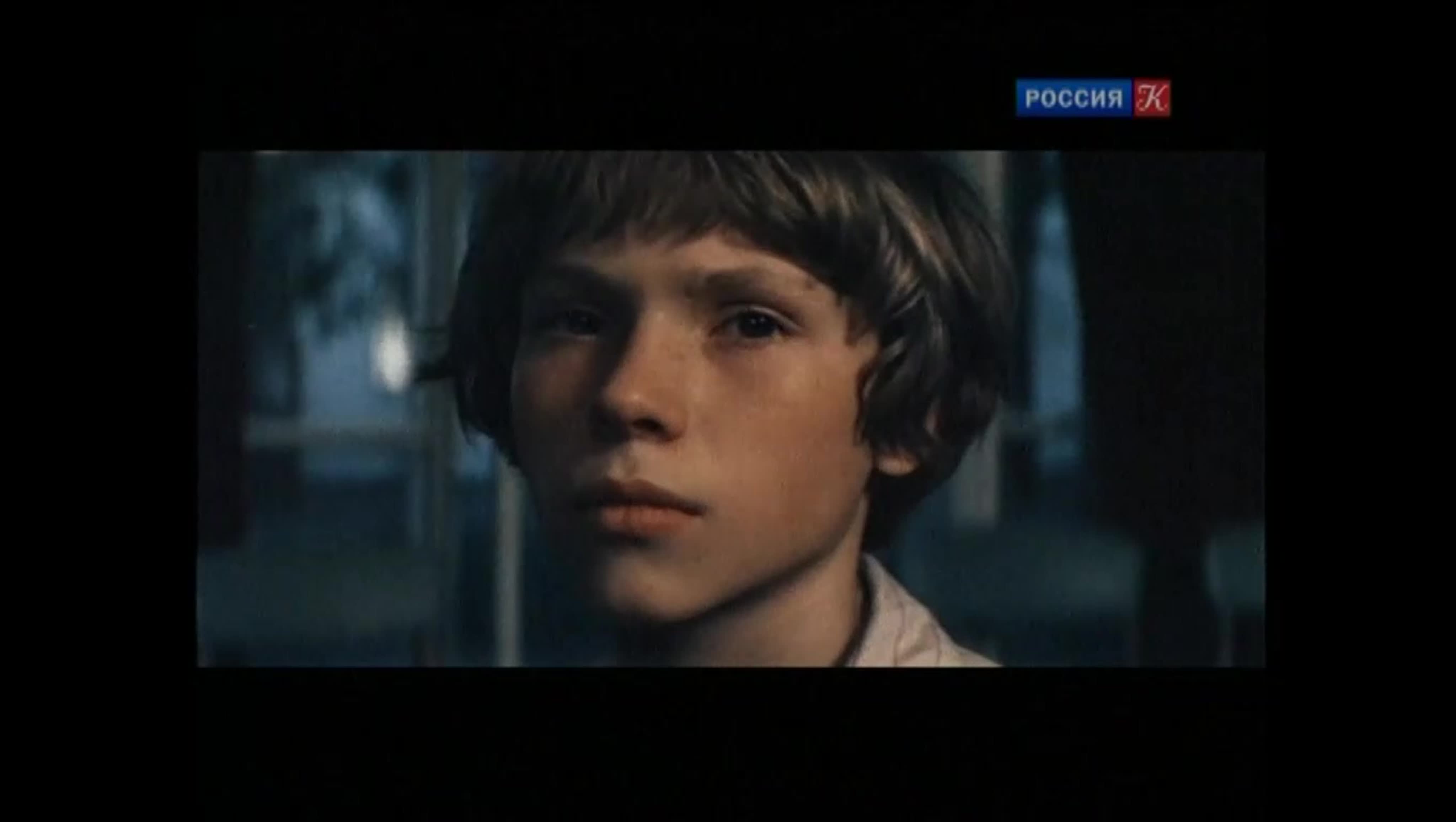 Не болит голова у дятла. ПРЯМОЙ ЭФИР