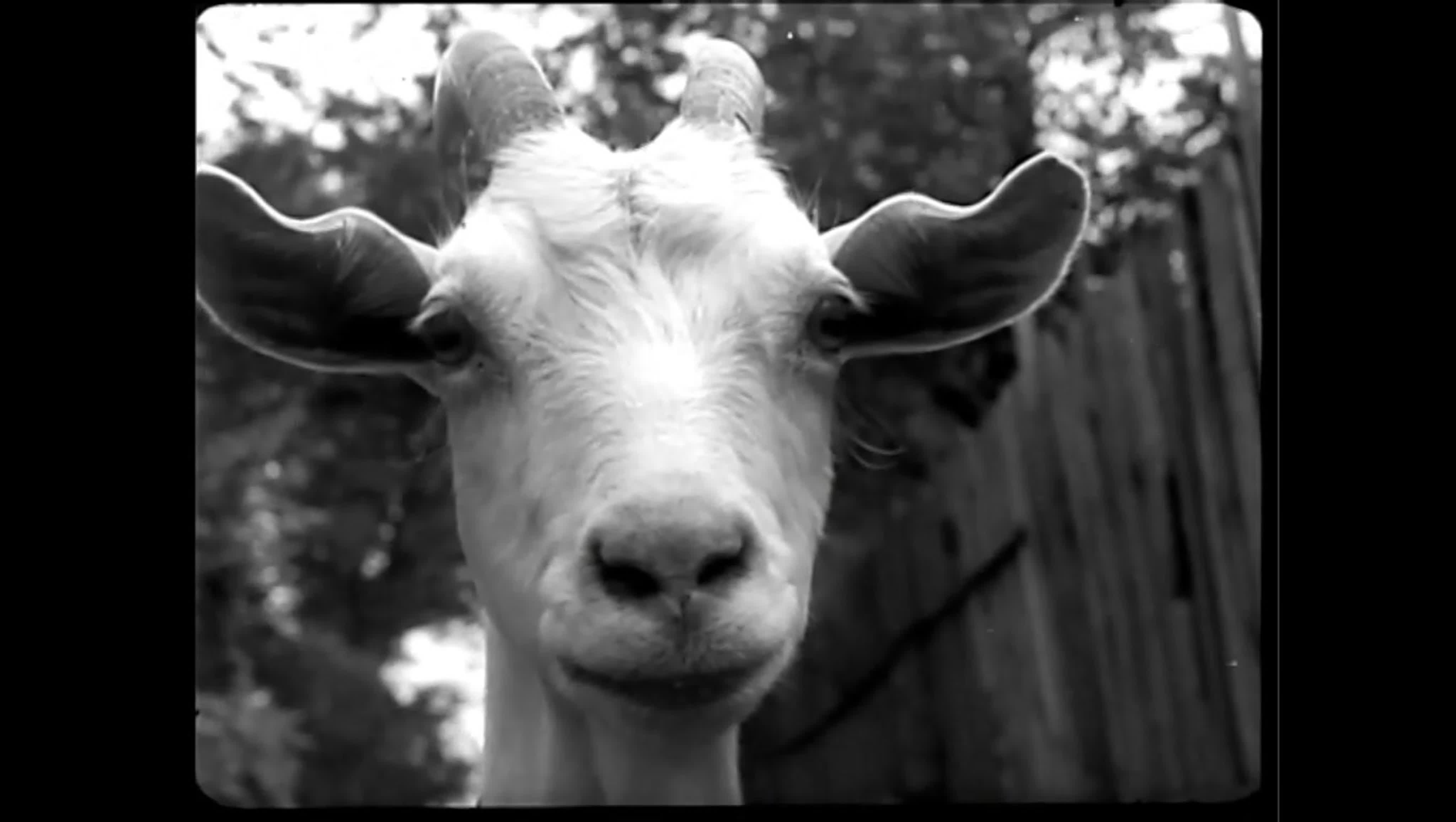 Серёжа. ПРЯМОЙ ЭФИР