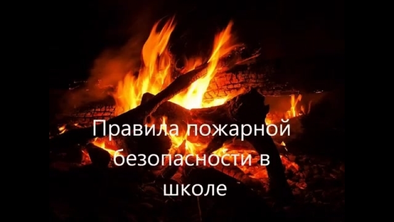 Учебные фильмы