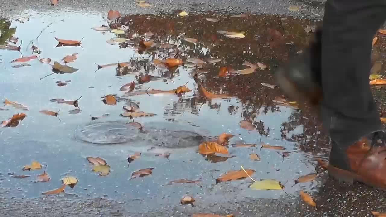 Вести Лицея 3 сезон