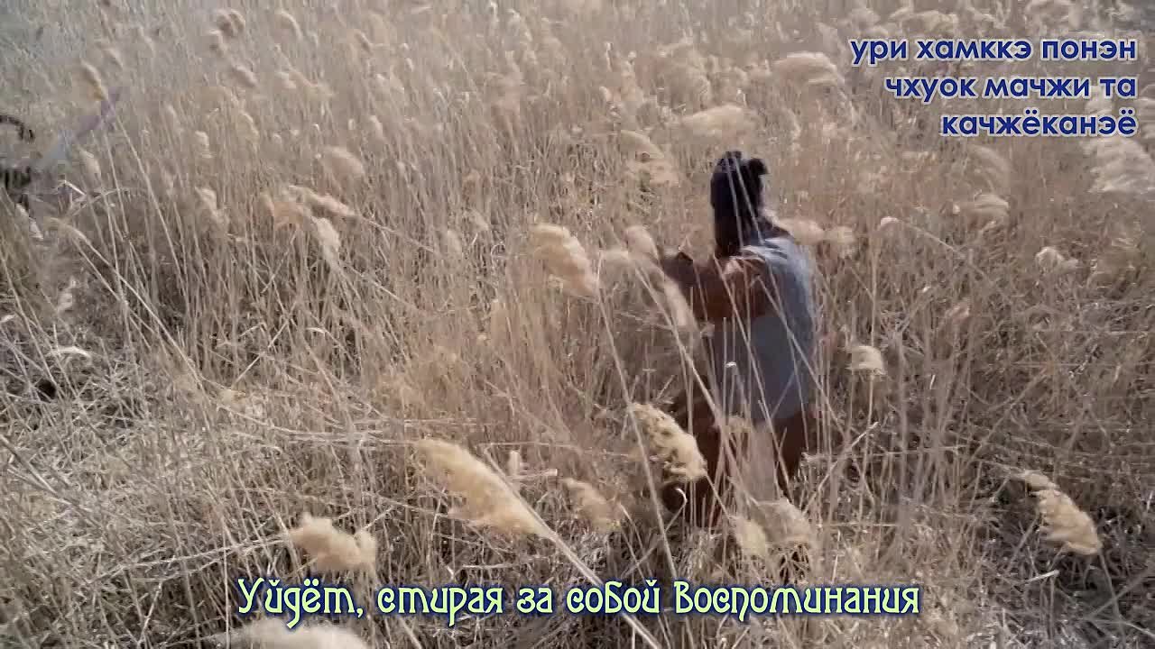 Мститель в маске | Bridal Mask 2012