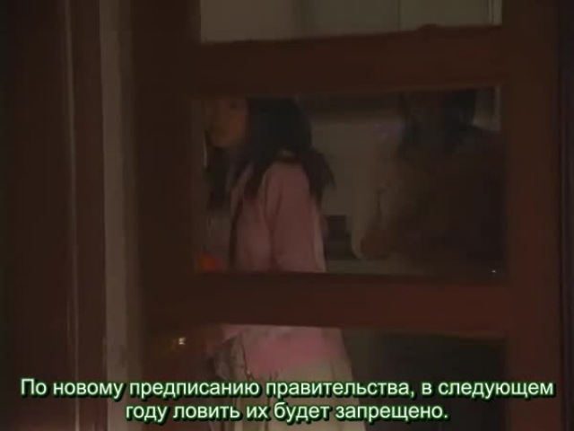 дорама Ame to Yume no Ato ni