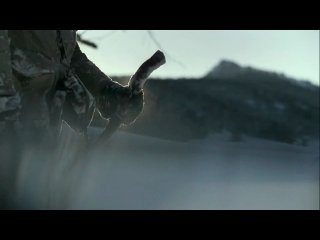 Креативная реклама