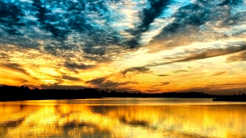 100 дней тишины