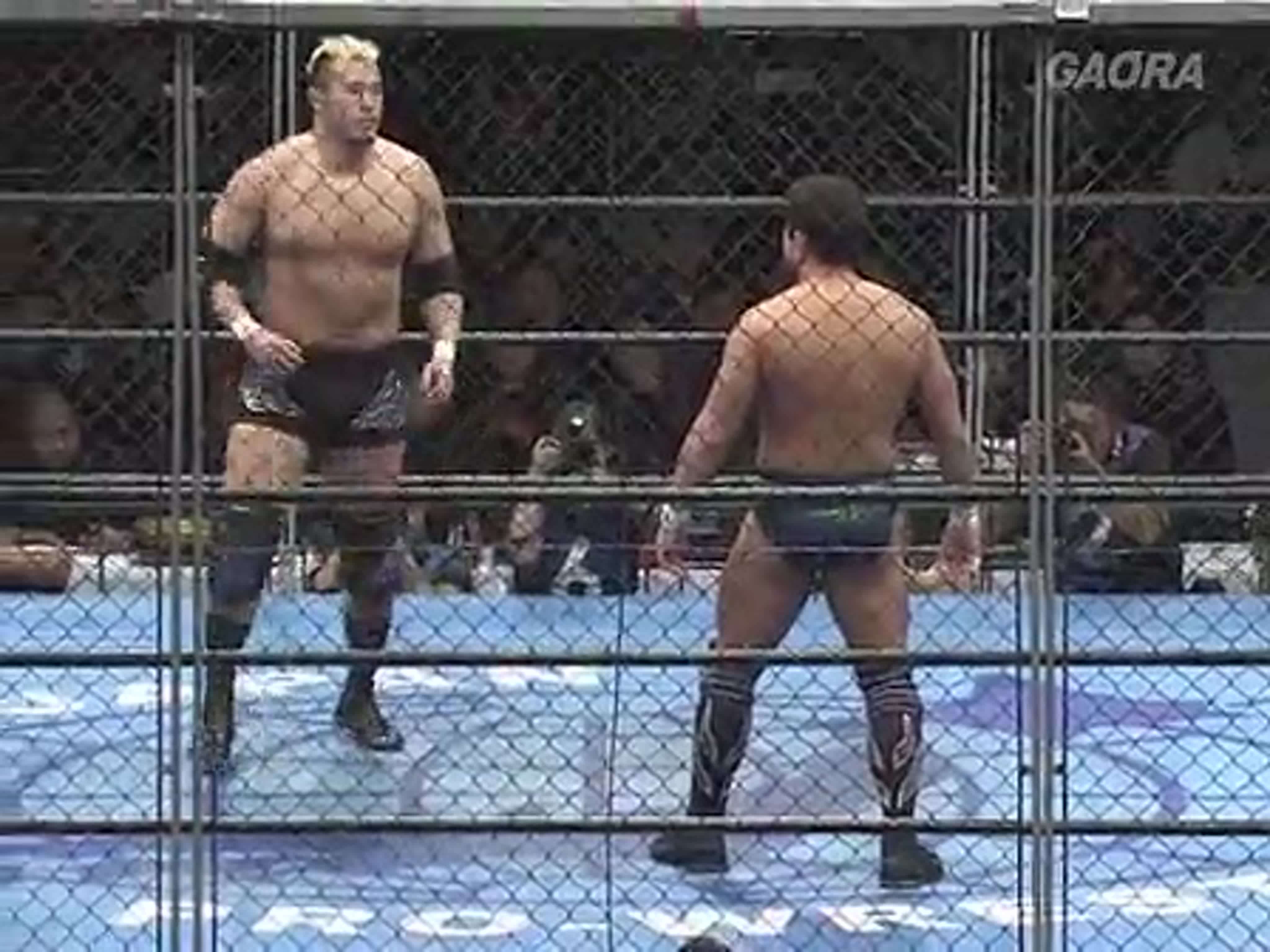 AJPW Pro Wrestling Love Era