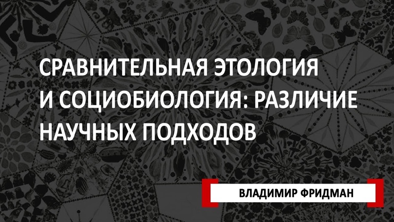 Лекции к.б.н. Владимира Фридмана